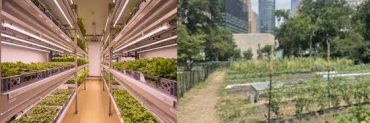 H.R. 5804 – Providing Robust Organics and Diets for Urban Communities Everywhere Act