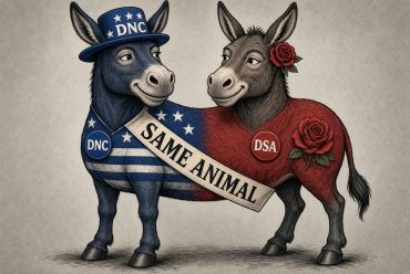 Democrat or Socialist (DSA)